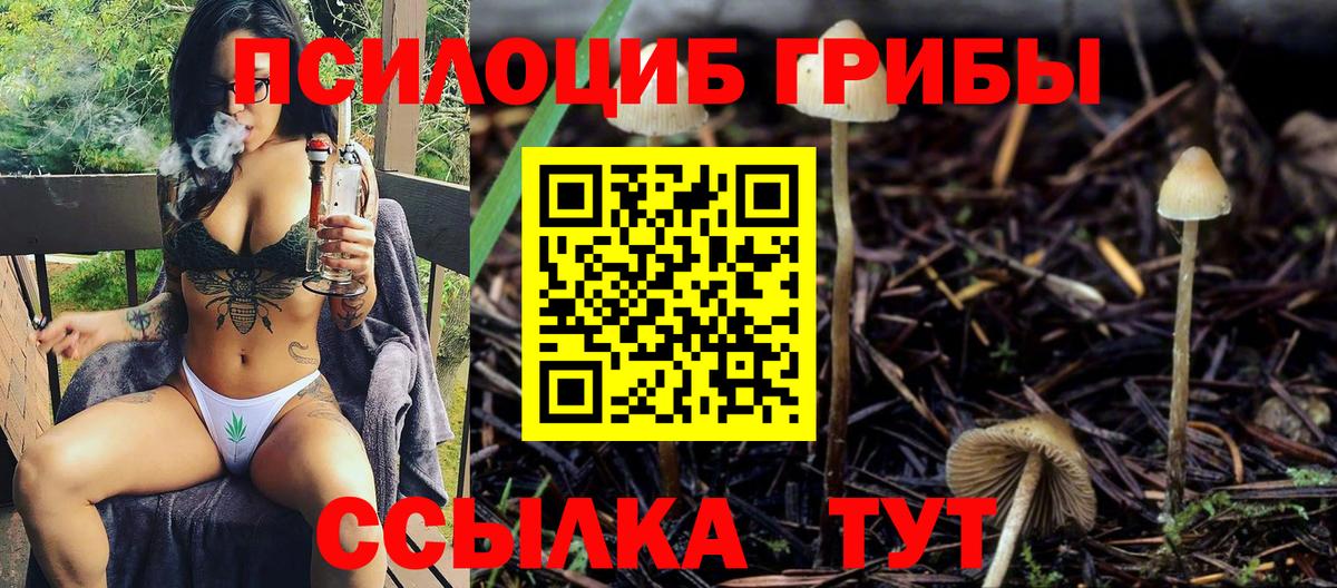 Псилоцибиновые грибы GOLDEN TEACHER Новосибирск